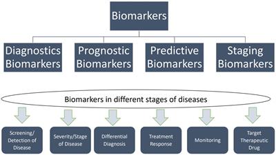 MicroRNA biomarkers as next-generation diagnostic tools for neurodegenerative diseases: a comprehensive review
